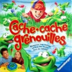 Cache cache Grenouilles
